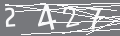 capsa